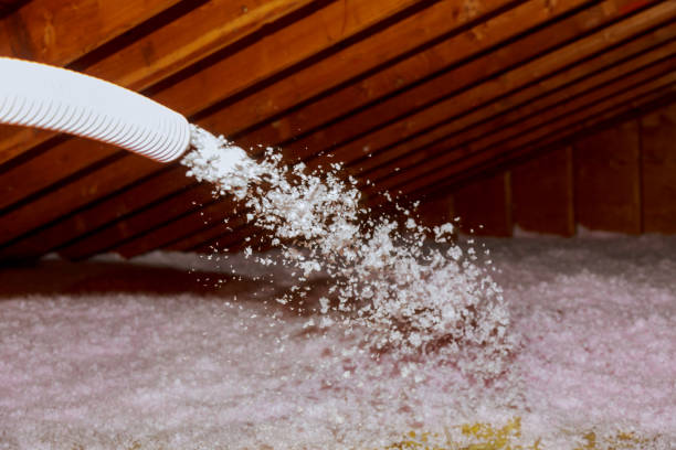 Best Wall Insulation Contractor  in Belmont, NC