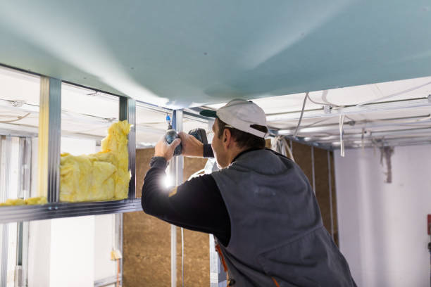 Best Energy-efficient Insulation  in Belmont, NC
