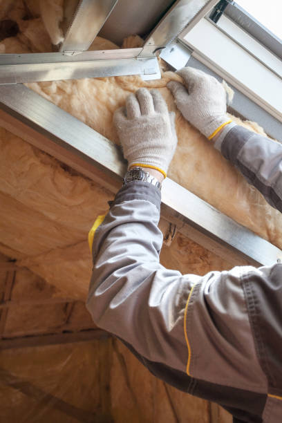 Best Blown-in Insulation  in Belmont, NC