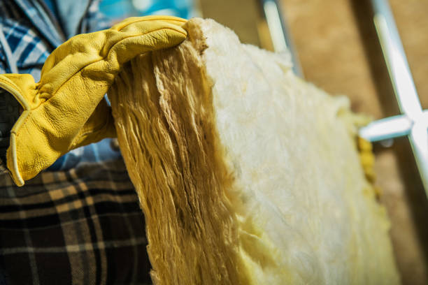 Best Insulation Removal Services  in Belmont, NC