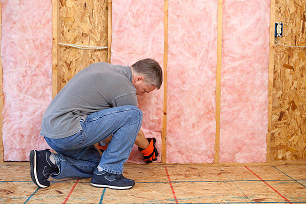 Best Insulation Contractors for Homes  in Belmont, NC