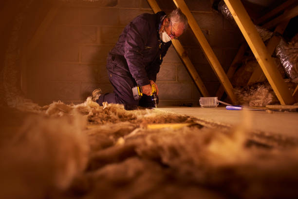 Best Local Insulation Services  in Belmont, NC